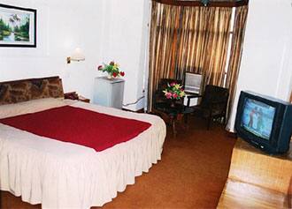 Hotel Jammu Palace, Jammu 2
